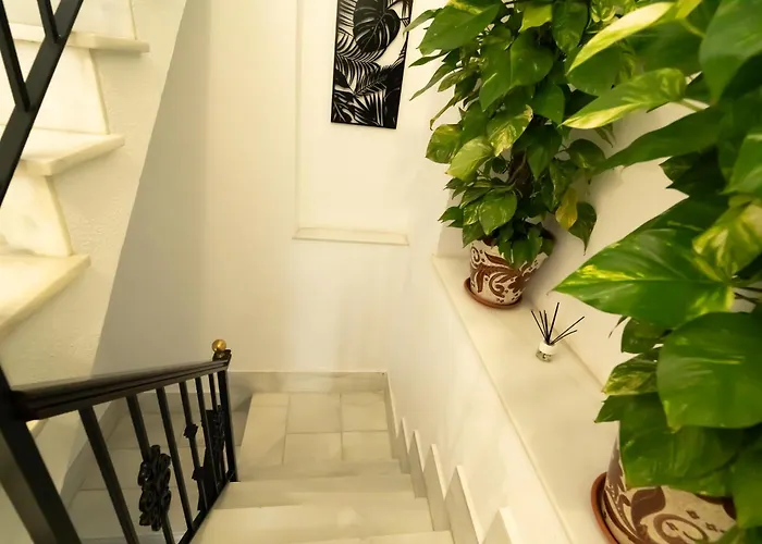 Consistorio Live * Jerez de la Frontera