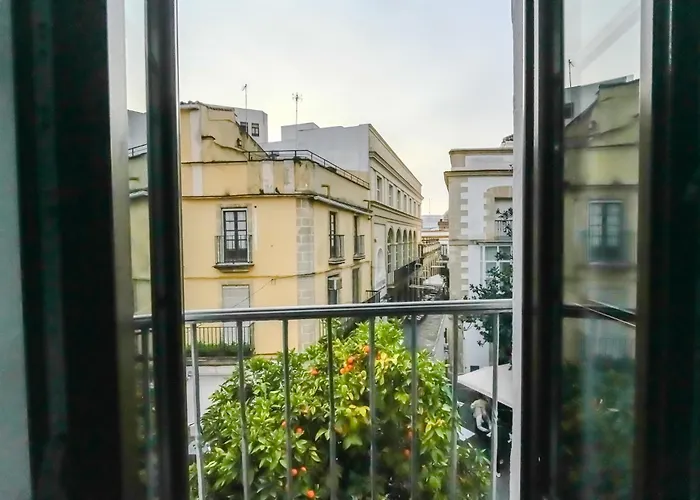 Consistorio Live Jerez de la Frontera